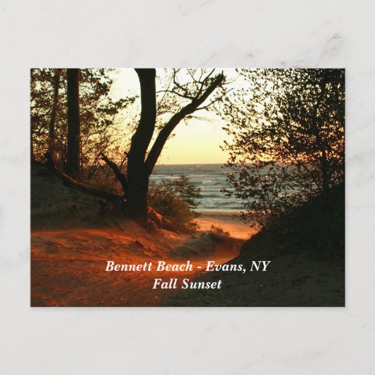 Carte Postale Bennett Beach - Evans, NY (Devant)
