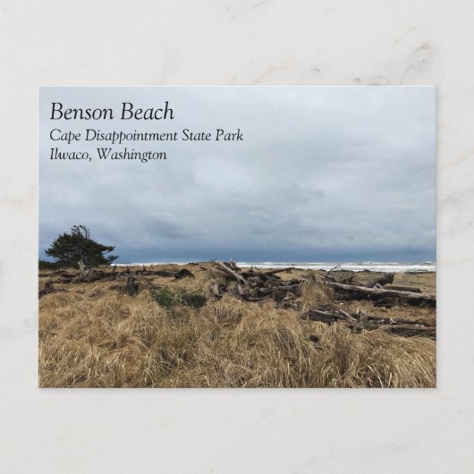 Carte Postale Benson Beach, Cape Disdéception, WA (Devant)