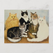 Carte Postale Berceau de chat (Devant)