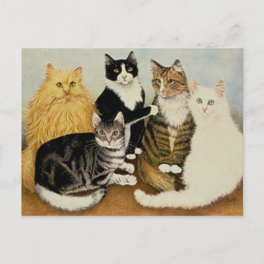 Carte Postale Berceau de chat (Devant)