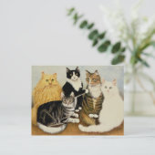 Carte Postale Berceau de chat (Debout devant)