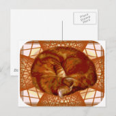 Carte Postale Berceau de chat (Devant / Derrière)