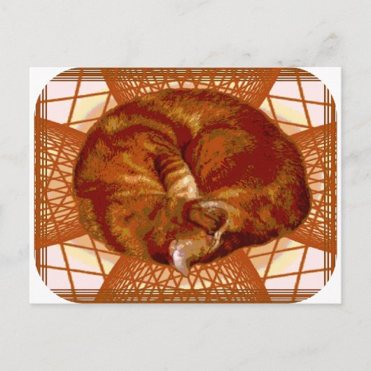 Carte Postale Berceau de chat (Devant)