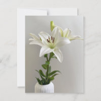 Berceuse de Lys | Peinture florale simple blanche
