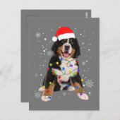 Carte Postale Berese Mountain Dog Lights Christmas Matching Fam (Devant / Derrière)