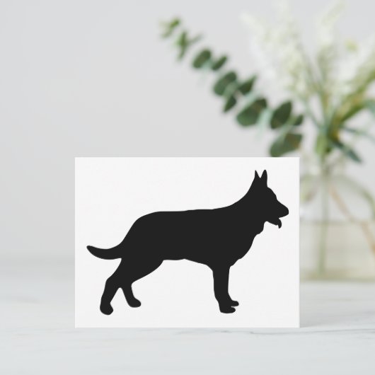 Carte Postale Berger (Debout devant)