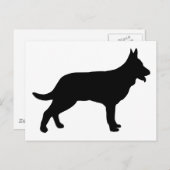 Carte Postale Berger (Devant / Derrière)