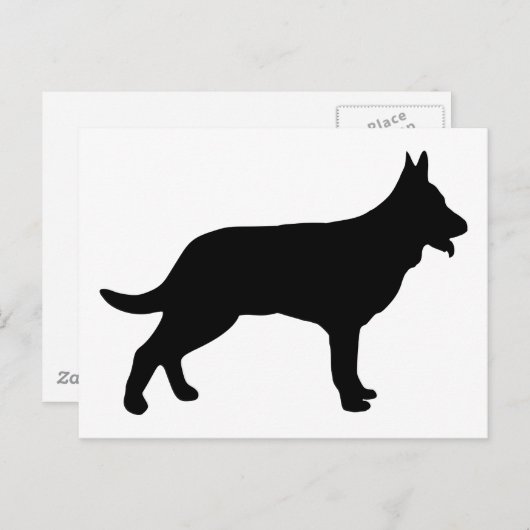 Carte Postale Berger (Devant / Derrière)