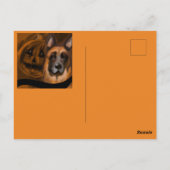 Carte Postale Berger Allemand (Dos)