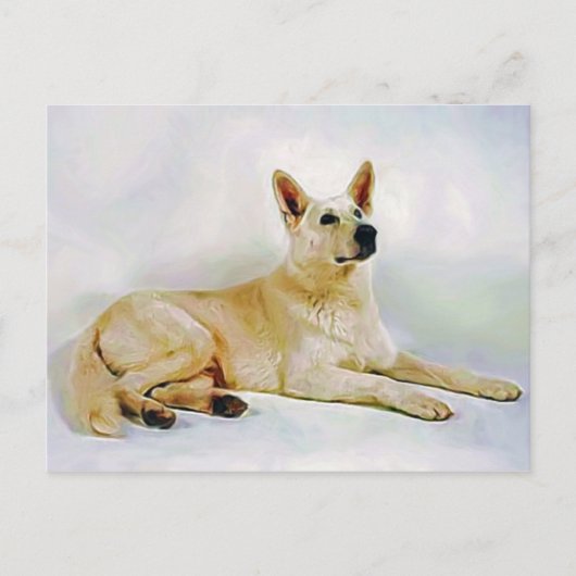 Carte Postale Berger allemand blanc (Devant)