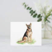 Carte Postale Berger Allemand, Chien, Animal de compagnie, Anima (Debout devant)