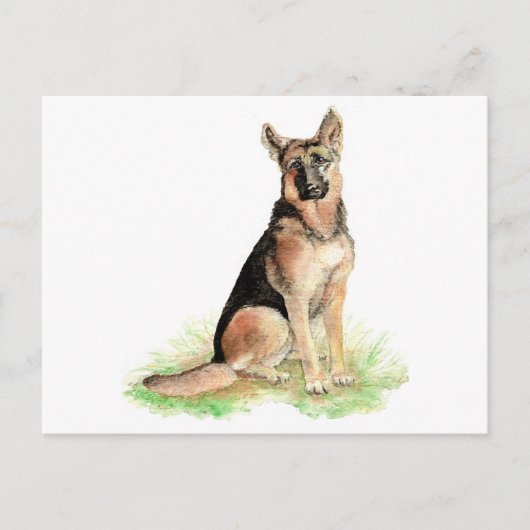 Carte Postale Berger Allemand, Chien, Animal de compagnie, Anima (Devant)