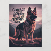 Berger Allemand Courage au Coucher du Soleil