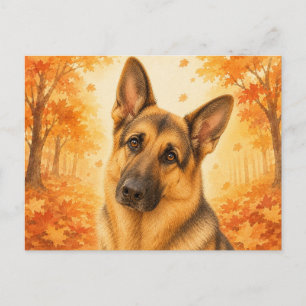 Carte Postale Berger Allemand Forêt Automnale Chien