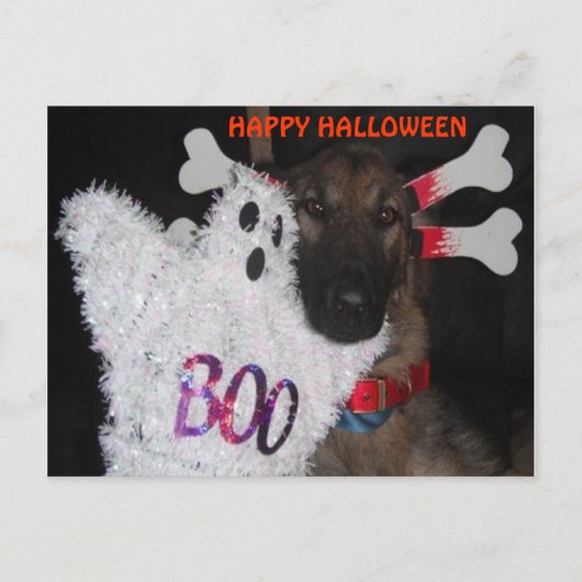 Carte postale Berger allemand Halloween Boo (Devant)