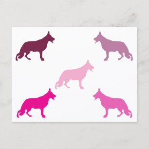 Carte Postale Berger allemand motif minimal magenta