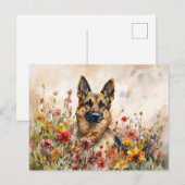 Carte Postale Berger Allemand Parmi Les Fleurs sauvages Vibrants (Devant / Derrière)