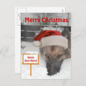 Carte postale Berger allemand Père Noël Stop Here  (Devant / Derrière)
