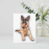 Carte Postale berger allemand rire (Debout devant)