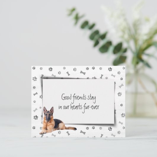 Carte Postale Berger Allemand Sympathie Perte d'Animal de Compag (Debout devant)