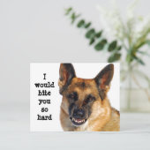 Carte postale berger allemande (Debout devant)