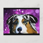 CARTE POSTALE BERGER AUSTRALIEN  (Devant)