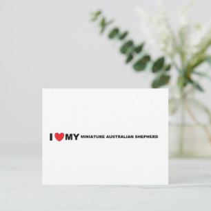 Carte Postale berger australien miniature amour