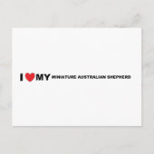 Carte Postale berger australien miniature amour (Devant)