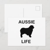 Carte Postale berger australien vie aussie (Devant / Derrière)