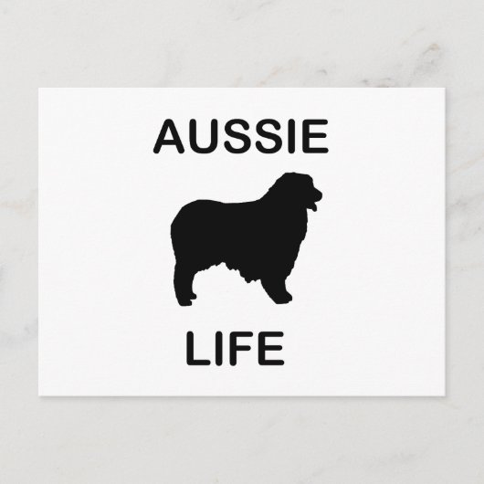 Carte Postale berger australien vie aussie (Devant)