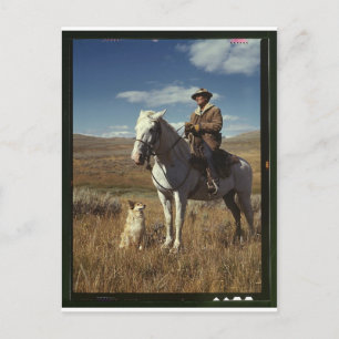 Carte Postale Berger avec son cheval et son chien sur Gravelly R