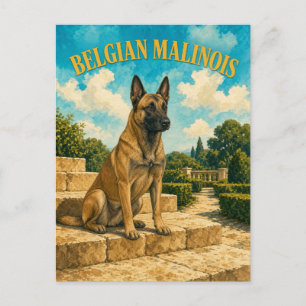 Carte Postale Berger belge Malinois, Art du chien à l'aquarelle