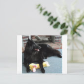 Carte Postale Berger belge près de la cheminée (Debout devant)