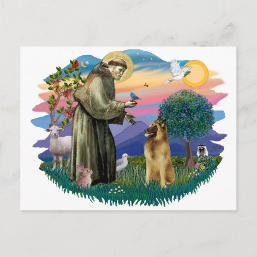 Carte Postale Berger belge Tervuren (Devant)