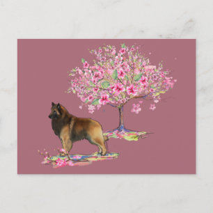 Carte Postale Berger belge Tervuren