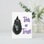 Carte Postale Berger belge Trick (Debout devant)