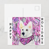 Carte Postale Berger Blanc Suisse      (Devant / Derrière)