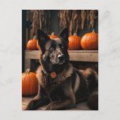 Carte Postale Berger d'automne (Devant)