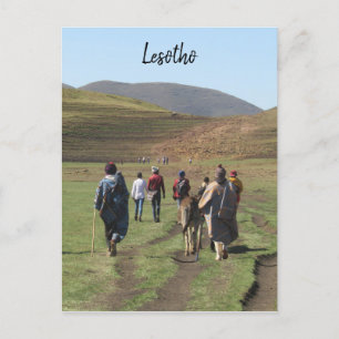 Carte Postale berger lesotho