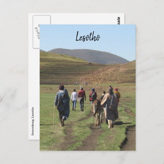 Carte Postale berger lesotho (Devant / Derrière)
