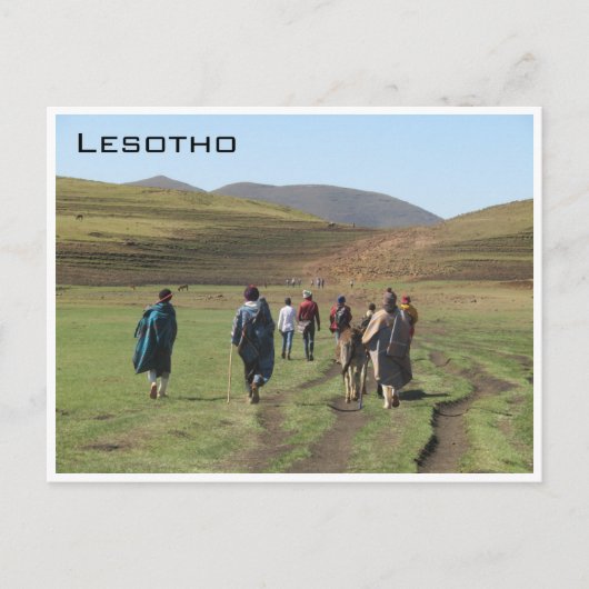 Carte Postale berger lesotho (Devant)