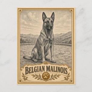 Carte Postale Berger Malinois belge, Chien du patrimoine vintage