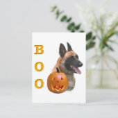 Carte Postale Berger Malinois Boo (Debout devant)