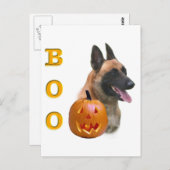 Carte Postale Berger Malinois Boo (Devant / Derrière)