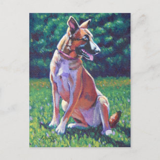 Carte Postale Berger malinois dans le champ de Grassy
