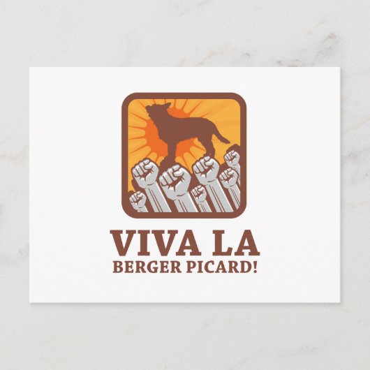 Carte Postale Berger Picard (Devant)