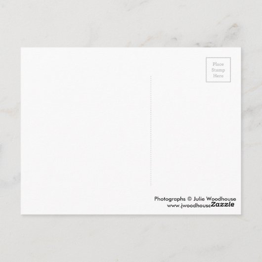 Carte Postale Berlin la nuit (Dos)