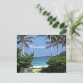 Carte Postale Bermudes (Debout devant)