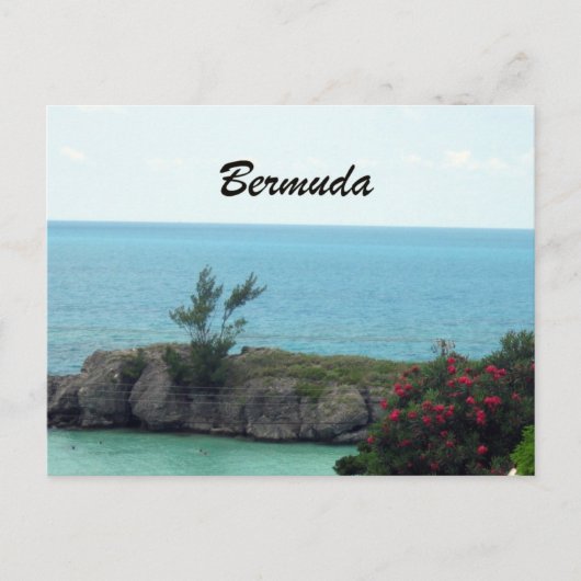 Carte Postale Bermudes (Devant)