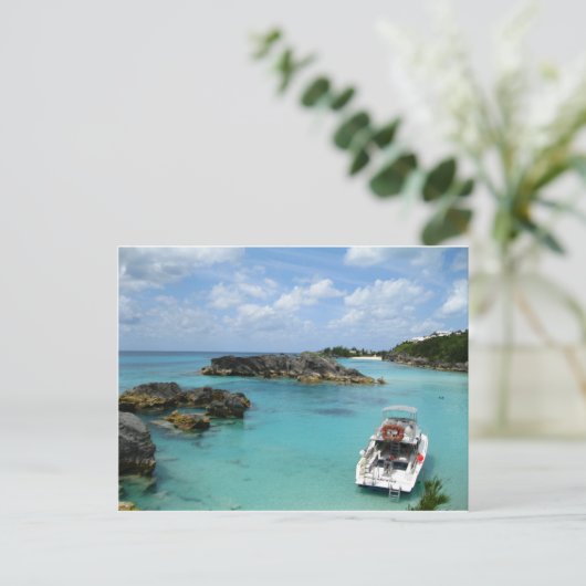 Carte Postale Bermudes (Debout devant)